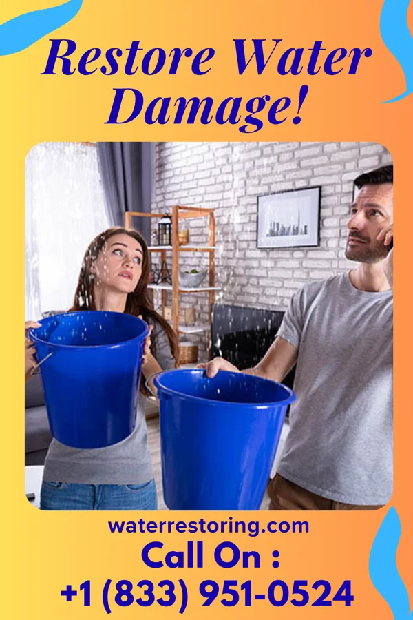 water restoration Diamond Water Damage Group Greenhills