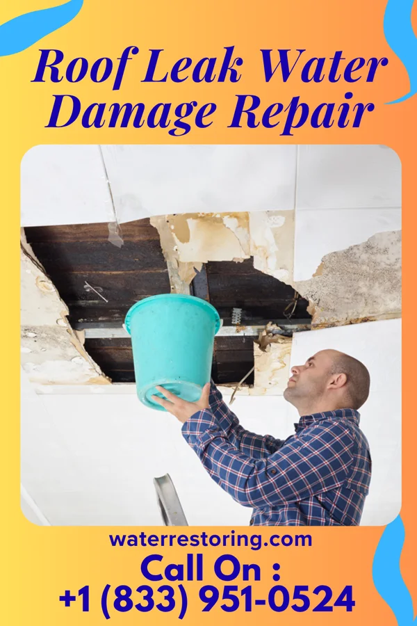 Roof Leak Water Damage Repair in Greenhills, OH