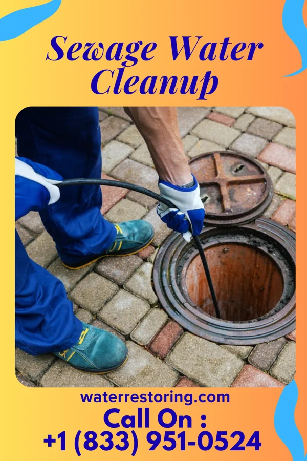 Sewage Water Cleanup in Greenhills, OH